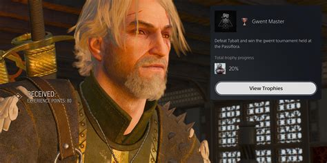 witcher 3 platinum guide|the witcher 3 missable trophies.